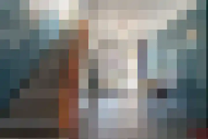 Graaf van Rechterenweg 1 V Oosterbeek thumbnail 9