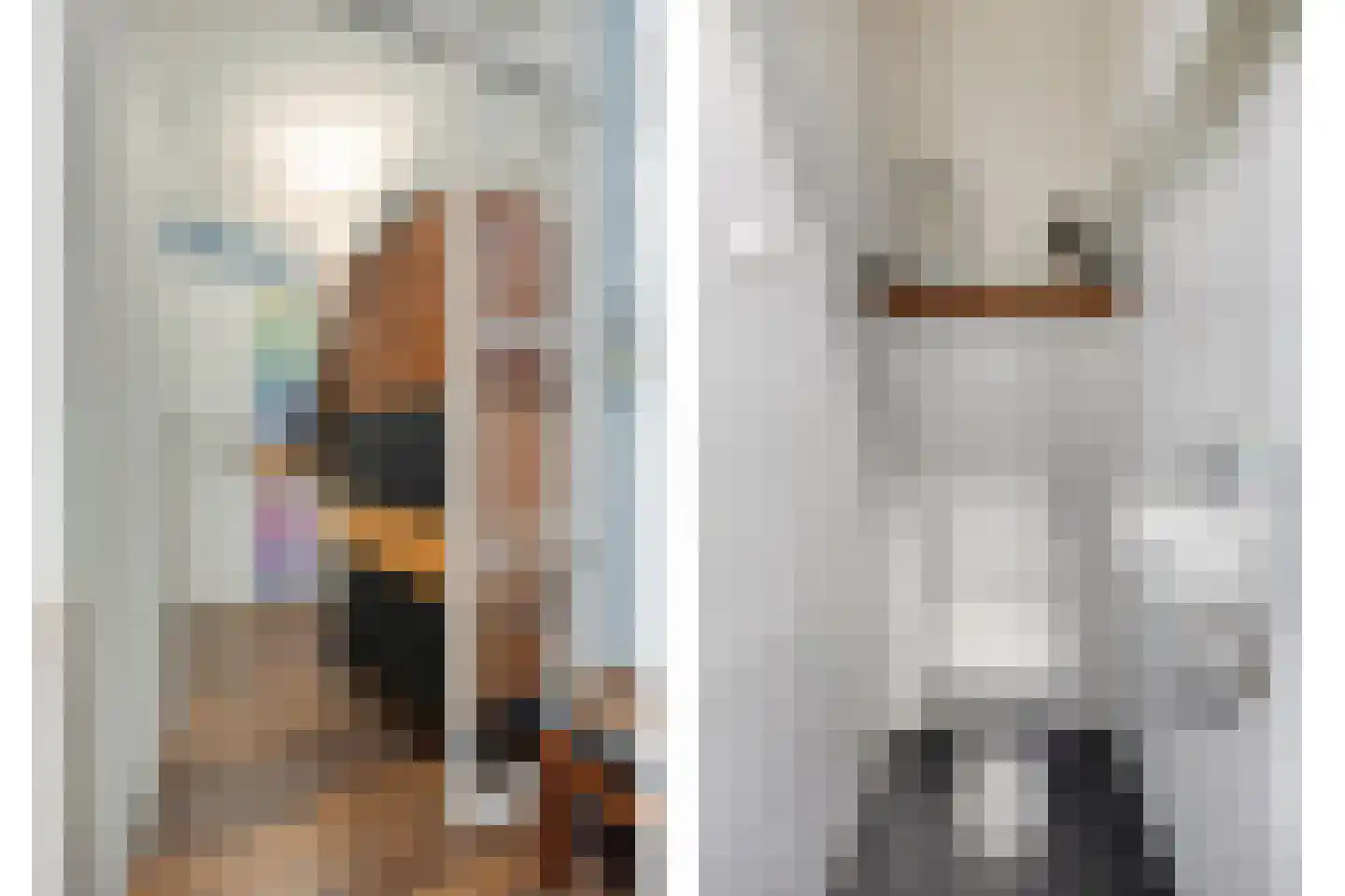 Graaf van Rechterenweg 1 Z Oosterbeek thumbnail 13