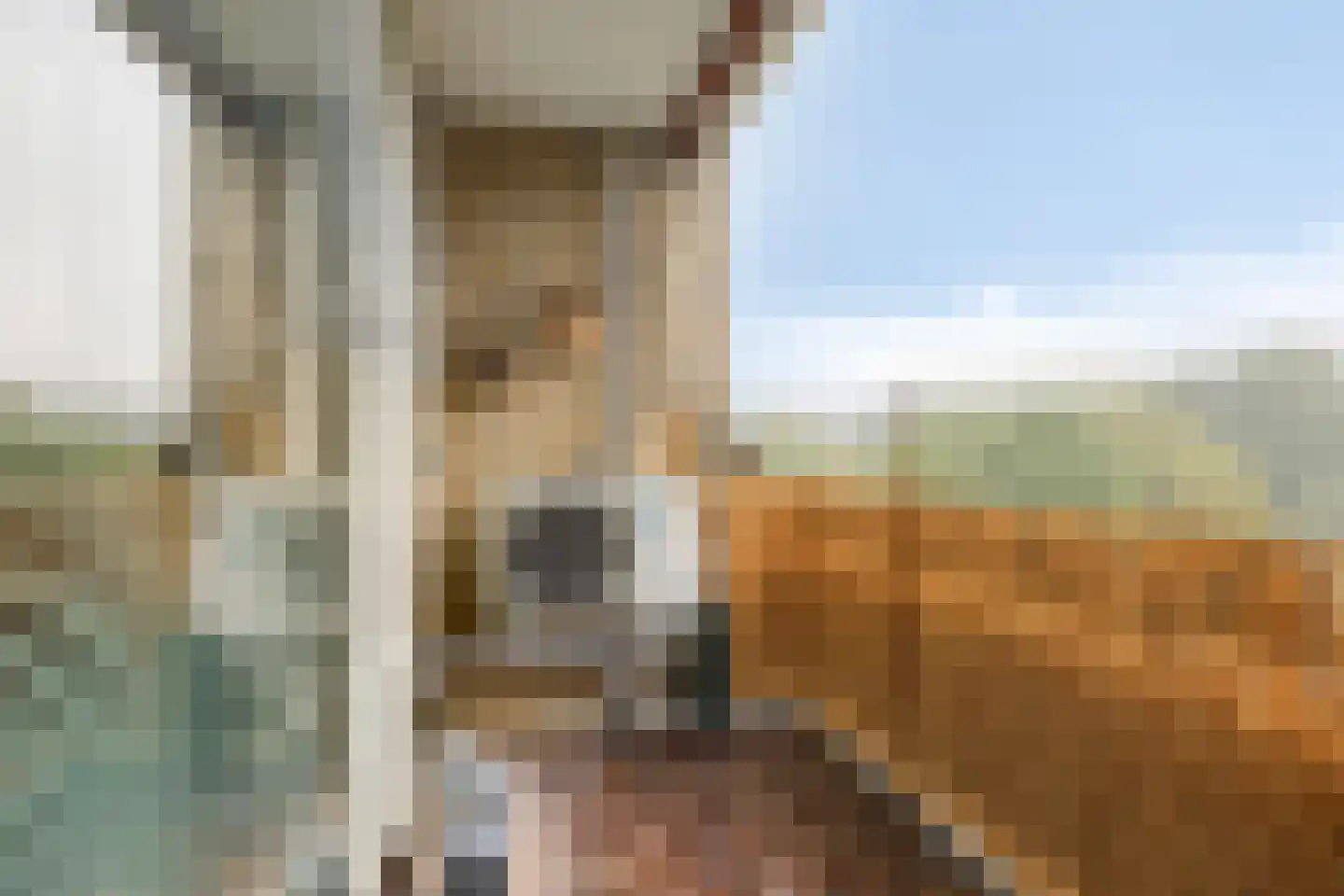 Graaf van Rechterenweg 1 Z Oosterbeek thumbnail 18