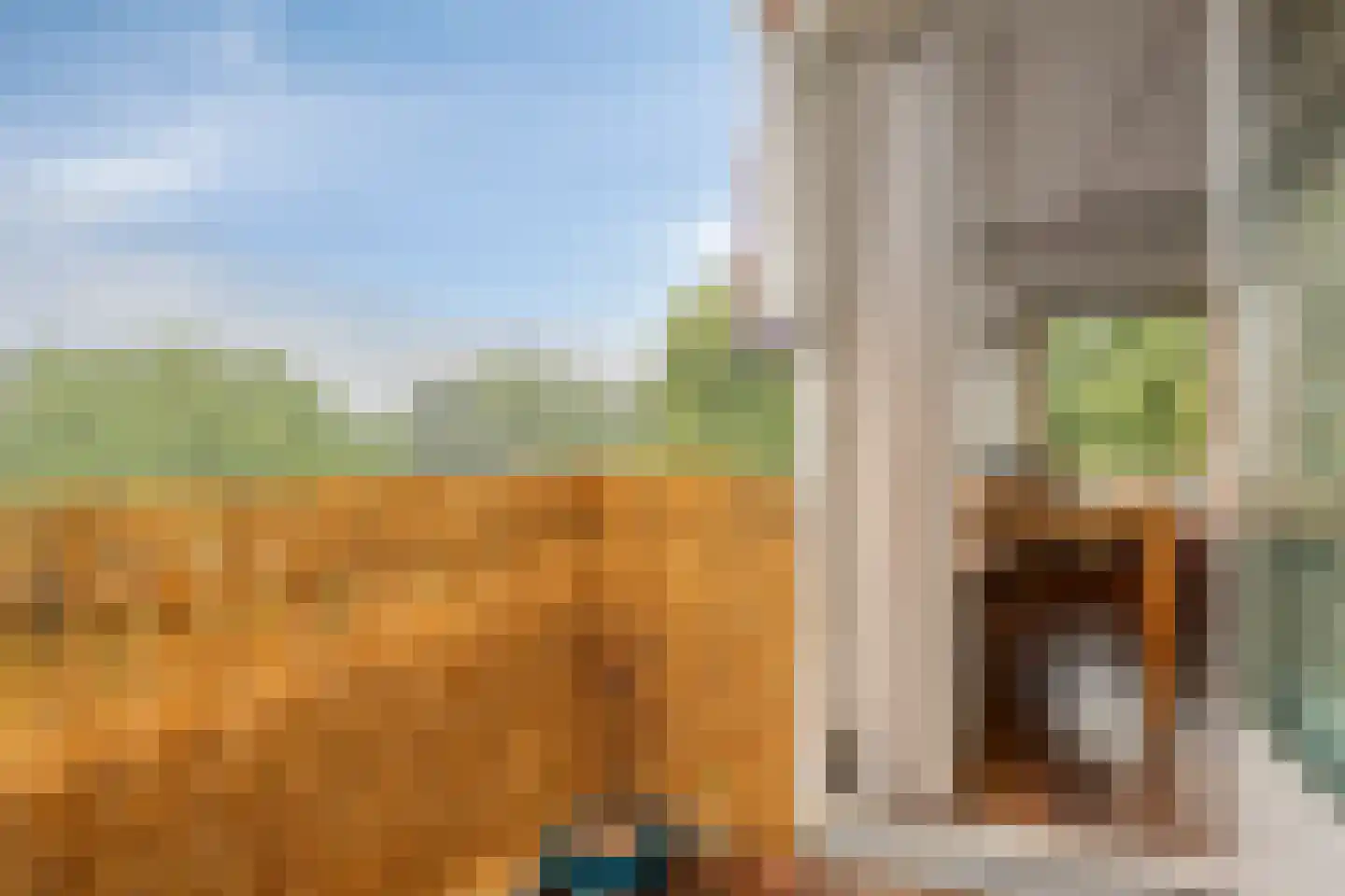 Graaf van Rechterenweg 1 Z Oosterbeek thumbnail 19