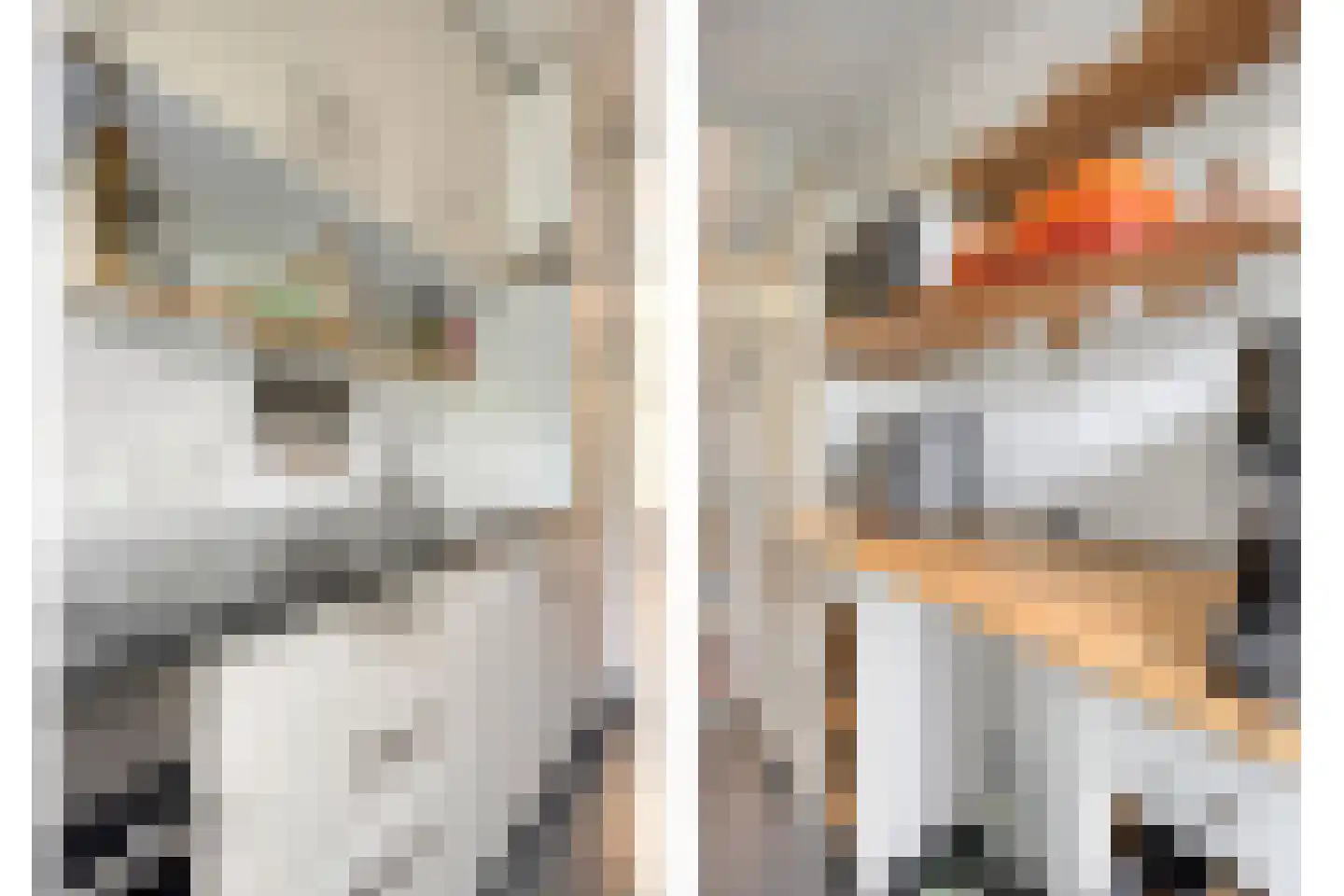 Graaf van Rechterenweg 1 Z Oosterbeek thumbnail 21