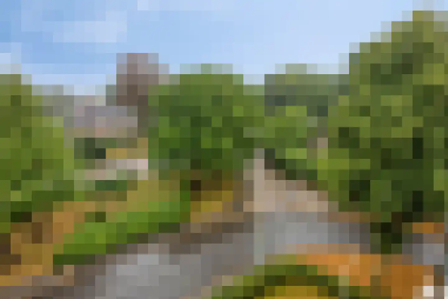 Graaf van Rechterenweg 1 Z Oosterbeek thumbnail 31
