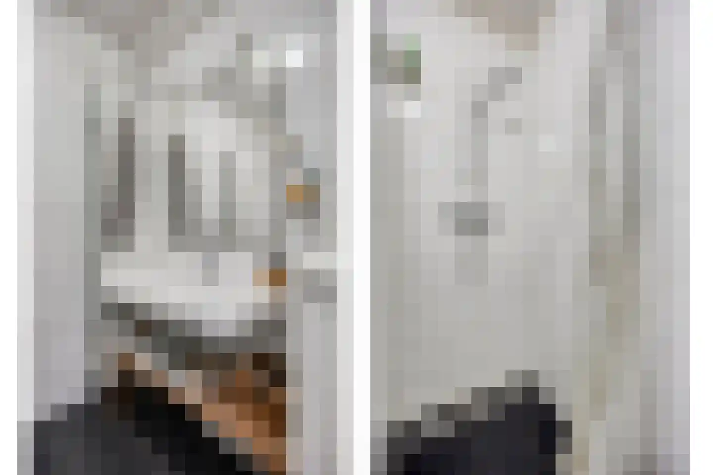 Graaf van Rechterenweg 1 Z Oosterbeek thumbnail 4