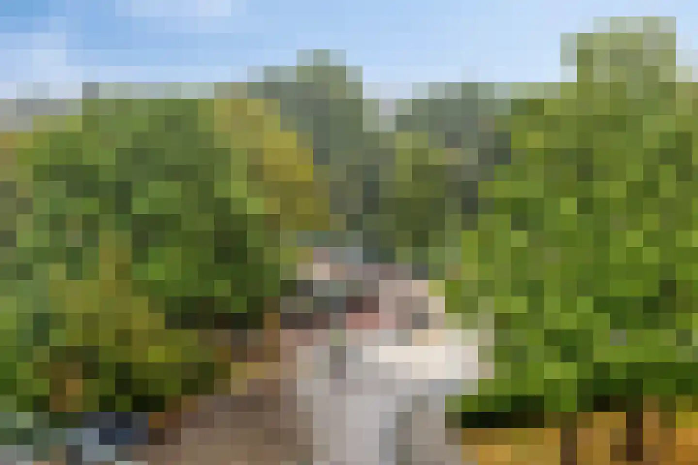 Graaf van Rechterenweg 1 Z Oosterbeek thumbnail 5