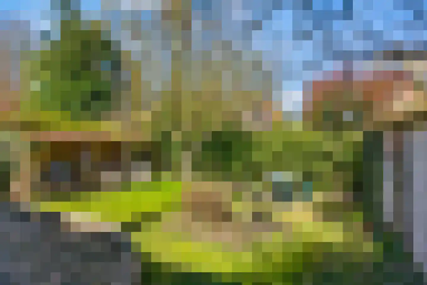 Graaf van Rechterenweg 13 Oosterbeek thumbnail 31