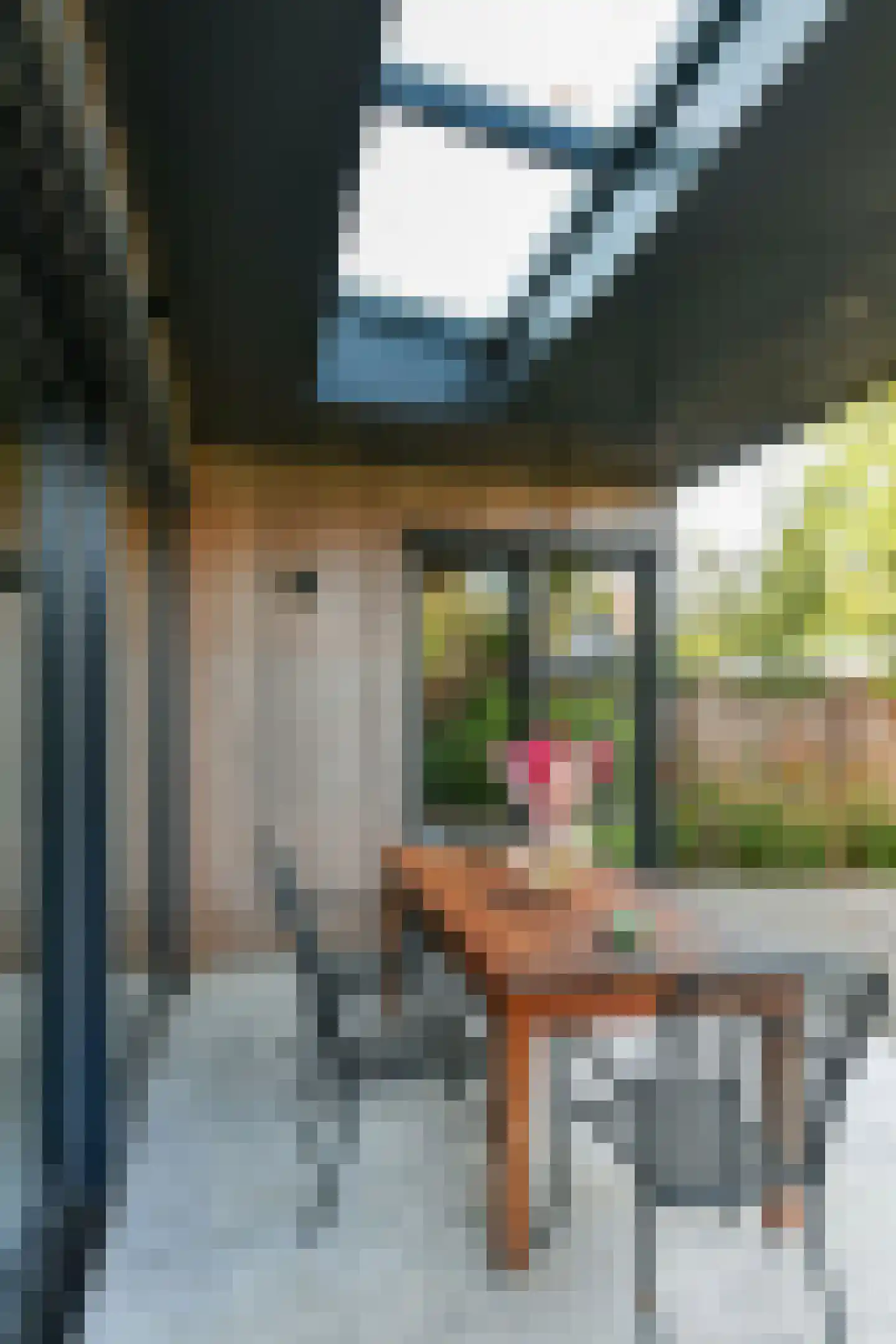 Graaf van Rechterenweg 19 A Oosterbeek thumbnail 20