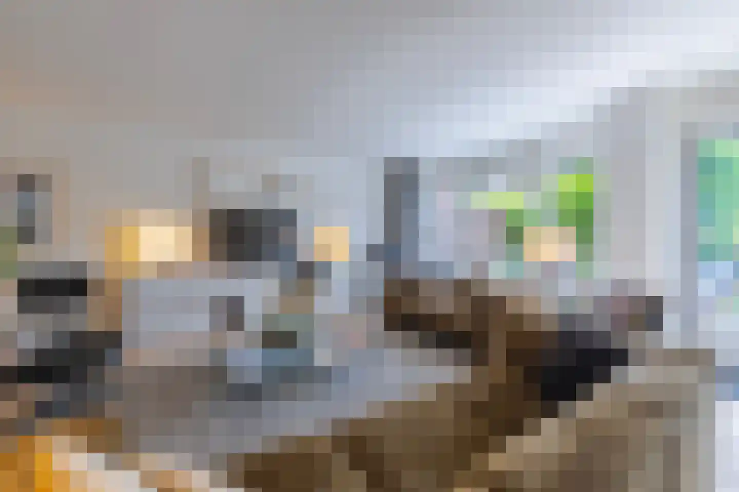 Graaf van Rechterenweg 2 B Oosterbeek thumbnail 14