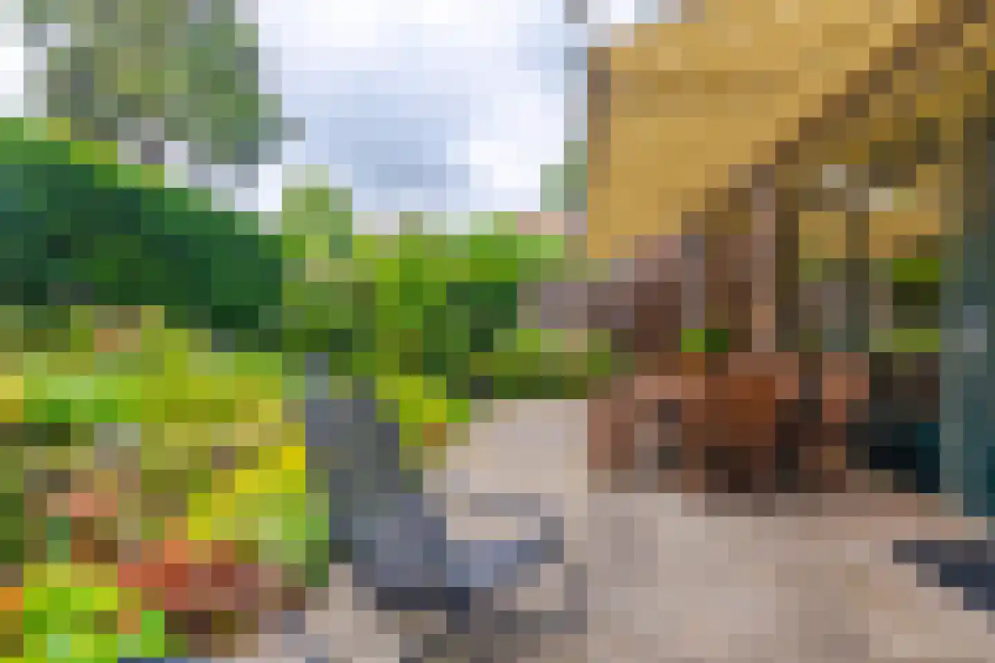 Graaf van Rechterenweg 2 B Oosterbeek thumbnail 27