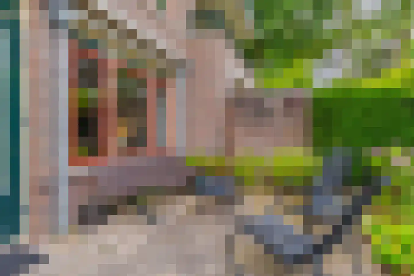 Graaf van Rechterenweg 2 B Oosterbeek thumbnail 29