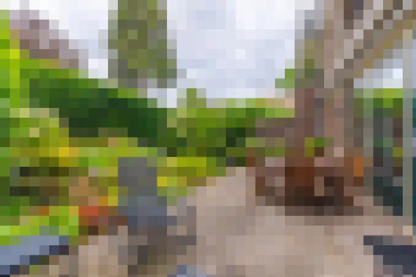 Graaf van Rechterenweg 2 B Oosterbeek thumbnail 30