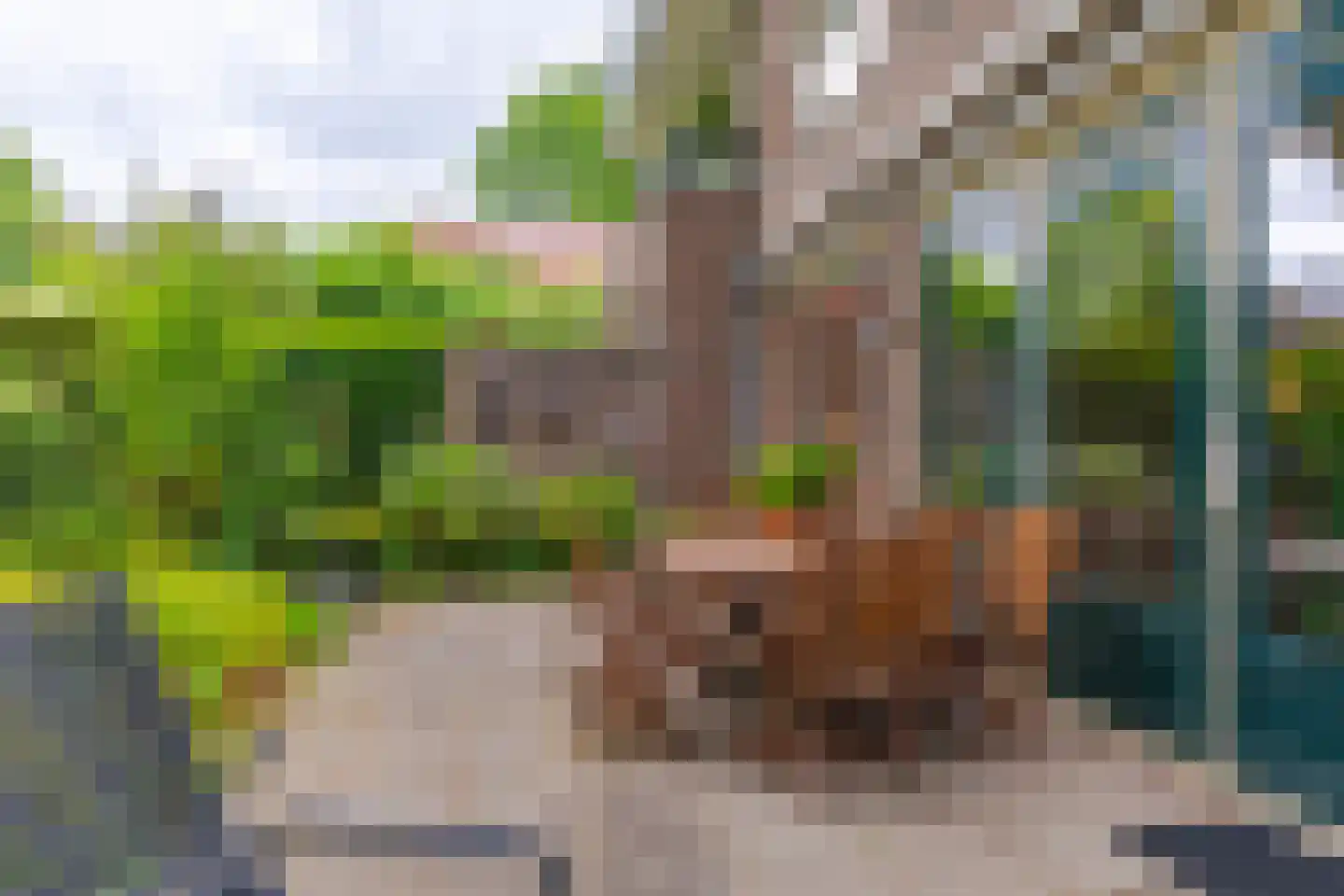 Graaf van Rechterenweg 2 B Oosterbeek thumbnail 31