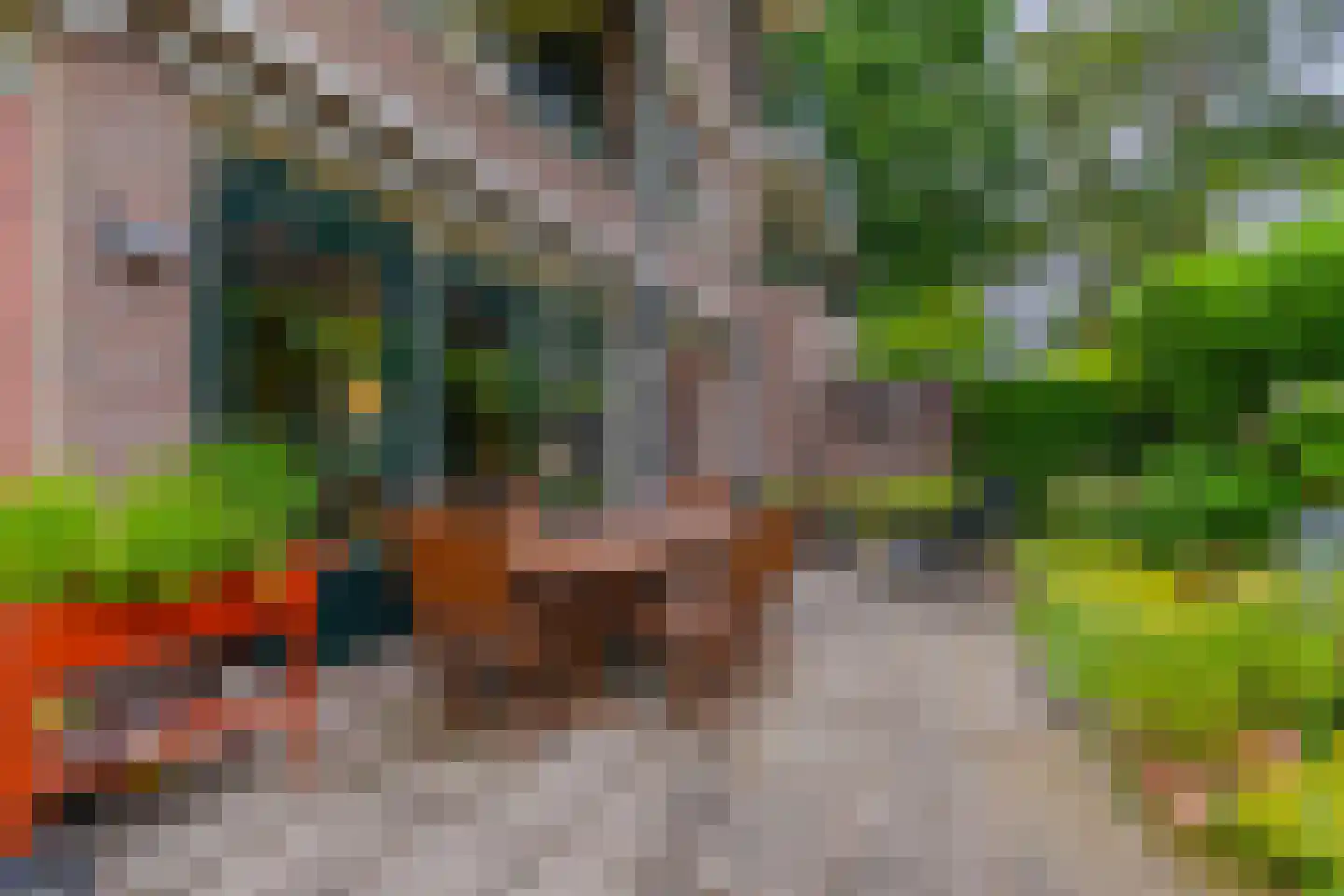 Graaf van Rechterenweg 2 B Oosterbeek thumbnail 32