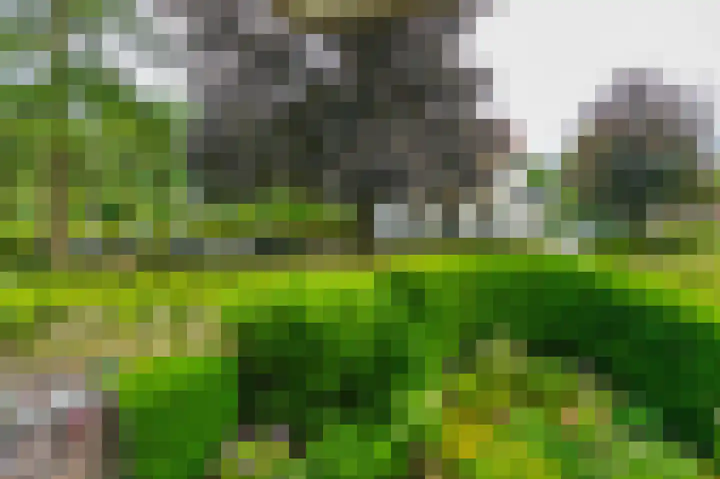 Graaf van Rechterenweg 2 B Oosterbeek thumbnail 34