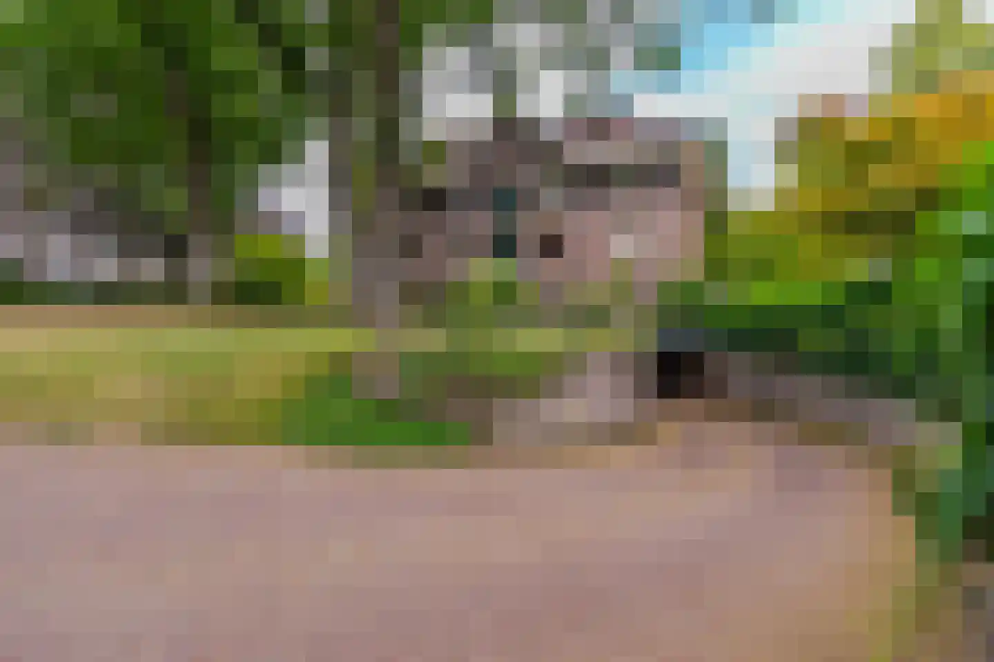 Graaf van Rechterenweg 2 B Oosterbeek thumbnail 36