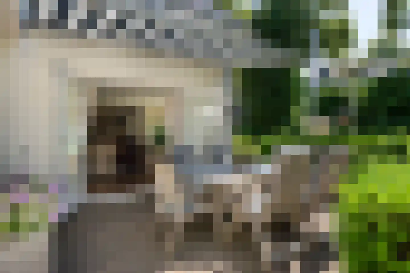 Graaf van Rechterenweg 21 Oosterbeek thumbnail 40