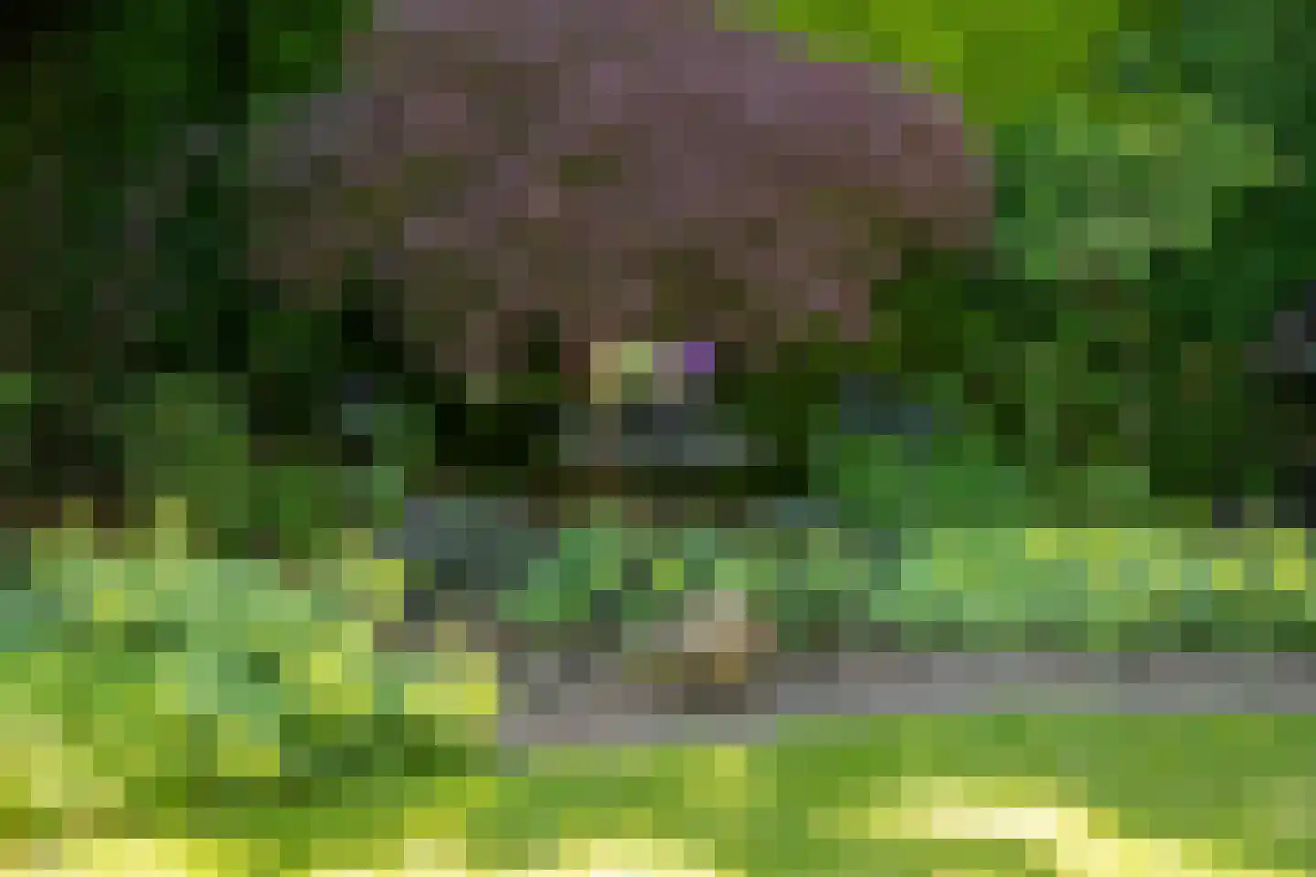 Graaf van Rechterenweg 21 Oosterbeek thumbnail 51