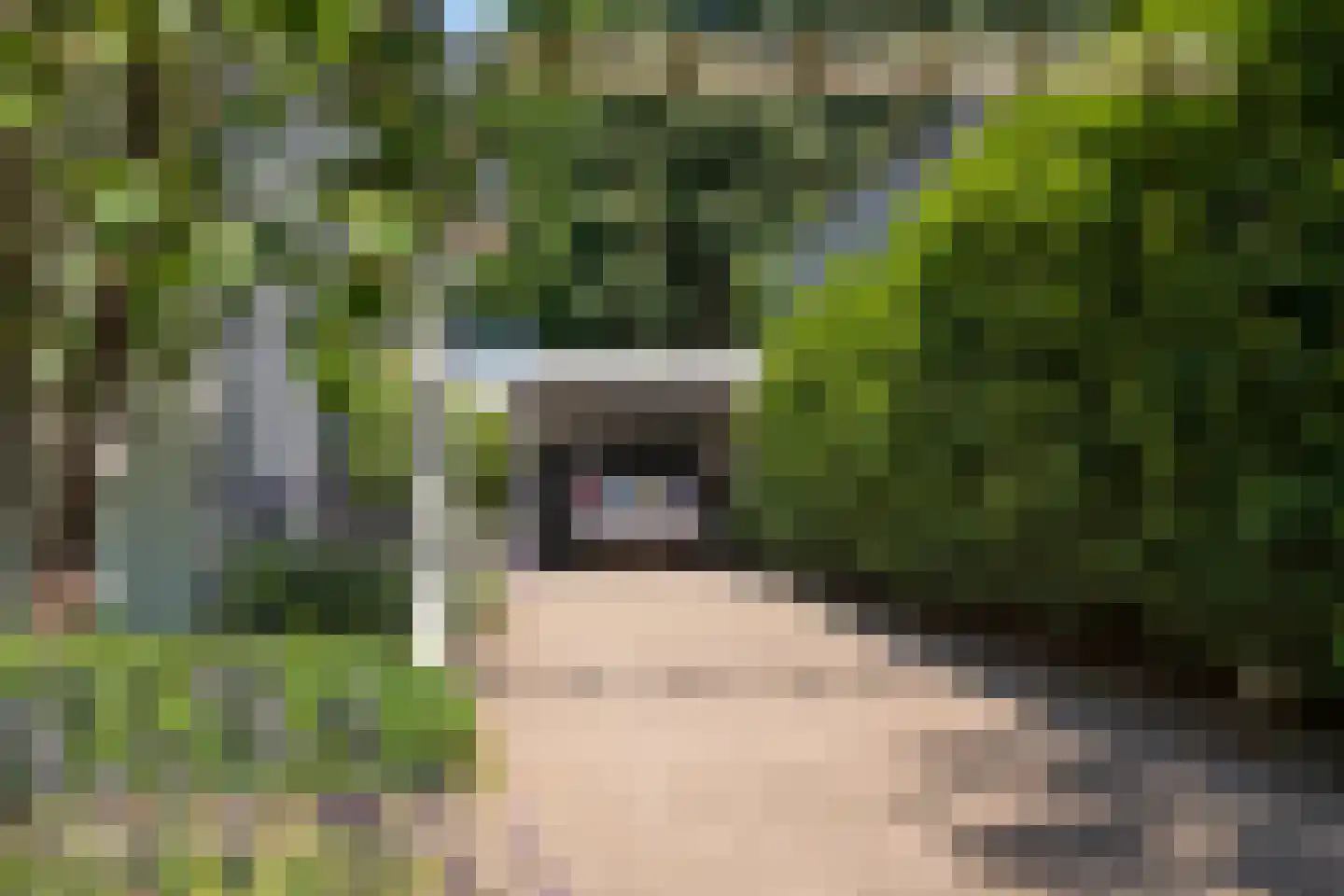 Graaf van Rechterenweg 21 Oosterbeek thumbnail 59
