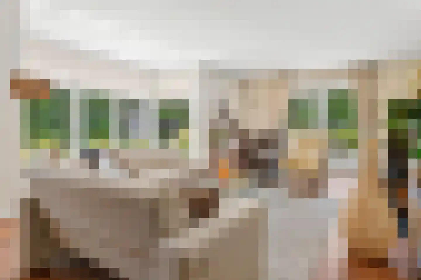 Graaf van Rechterenweg 21 Oosterbeek thumbnail 9