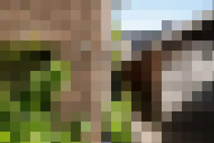 Graaf van Rechterenweg 35 Oosterbeek thumbnail 10