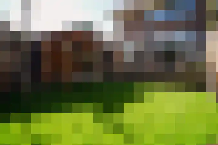 Graaf van Rechterenweg 35 Oosterbeek thumbnail 47