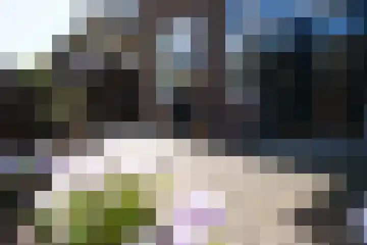 Graaf van Rechterenweg 35 Oosterbeek thumbnail 51
