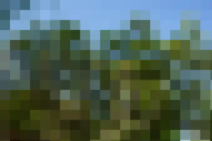 Graaf van Rechterenweg 35 Oosterbeek thumbnail 54