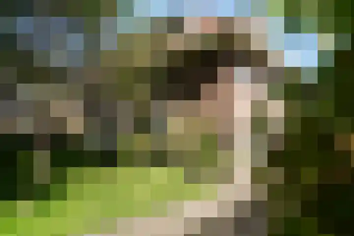 Graaf van Rechterenweg 35 Oosterbeek thumbnail 7