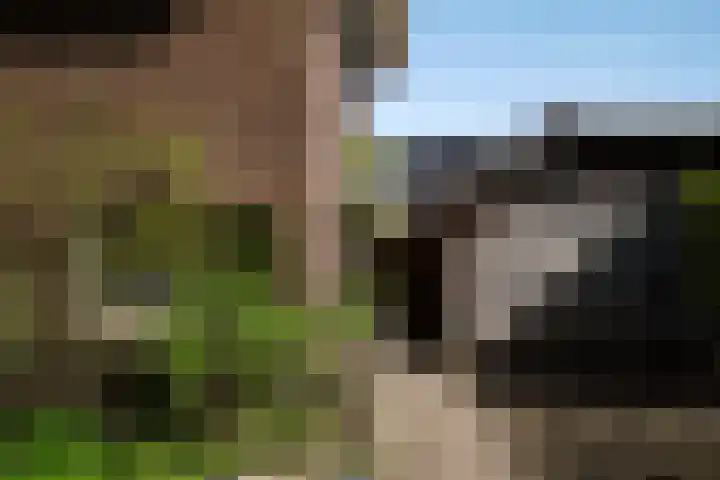 Graaf van Rechterenweg 35 Oosterbeek thumbnail 9