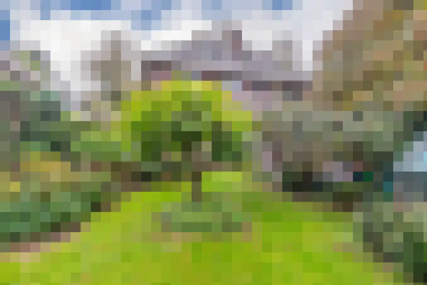 Graaf van Rechterenweg 39 Oosterbeek thumbnail 34
