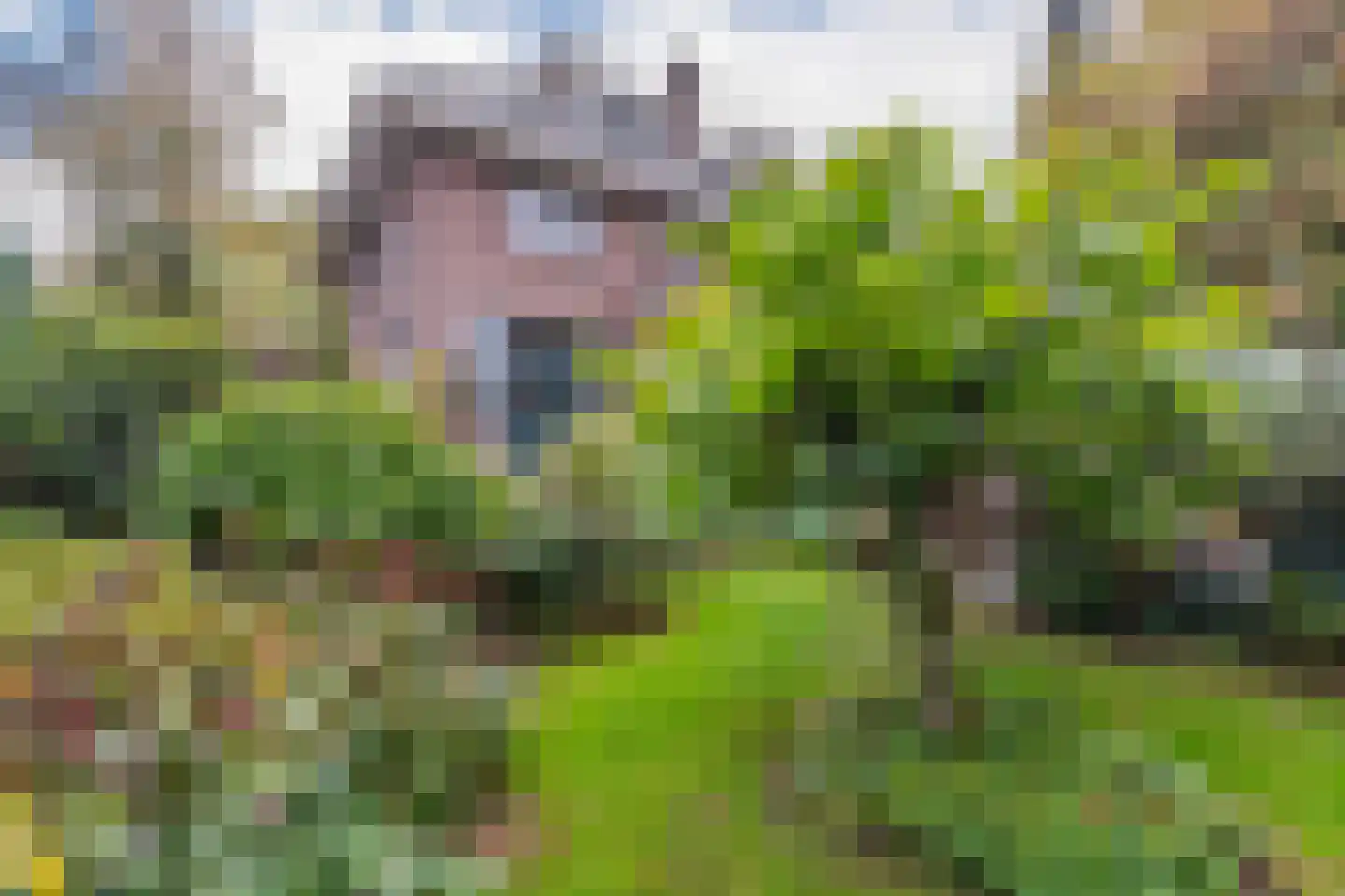 Graaf van Rechterenweg 39 Oosterbeek thumbnail 35