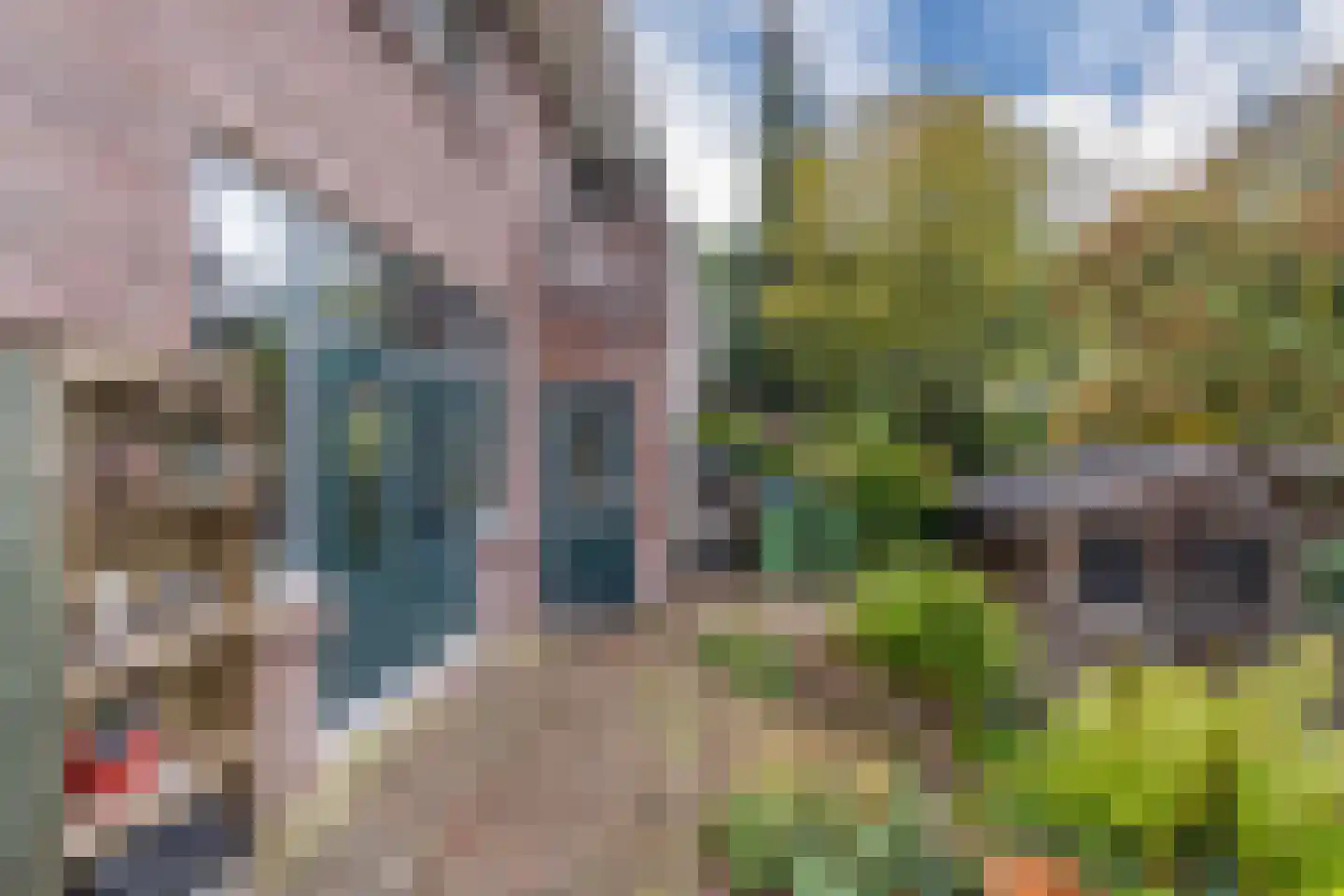 Graaf van Rechterenweg 39 Oosterbeek thumbnail 36