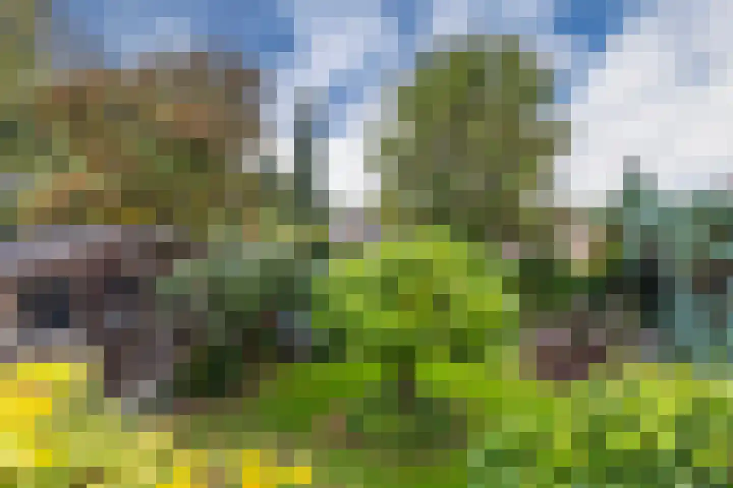 Graaf van Rechterenweg 39 Oosterbeek thumbnail 41