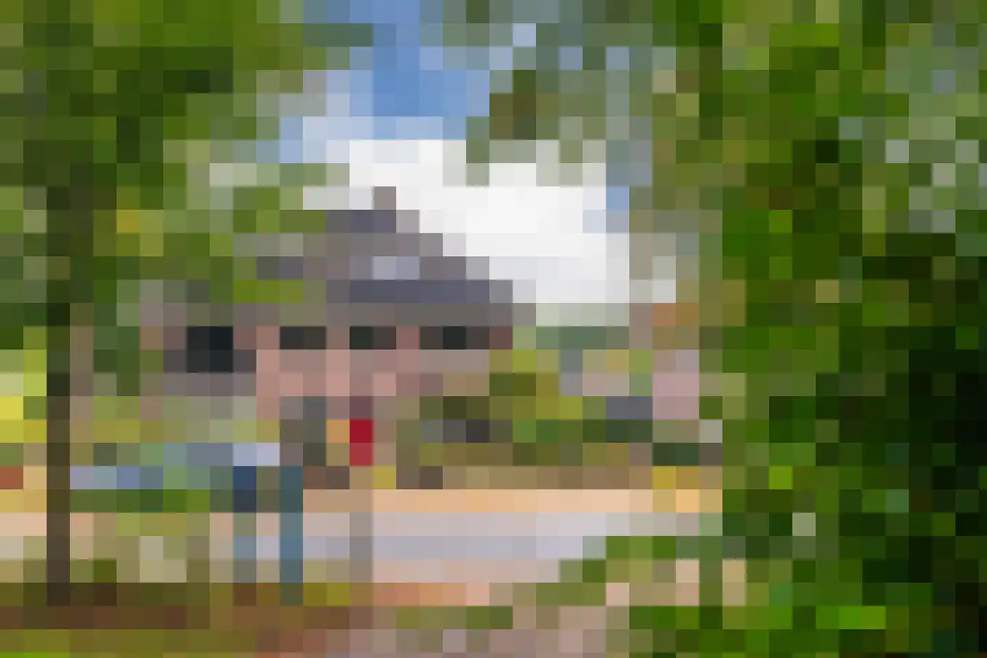 Graaf van Rechterenweg 39 Oosterbeek thumbnail 44