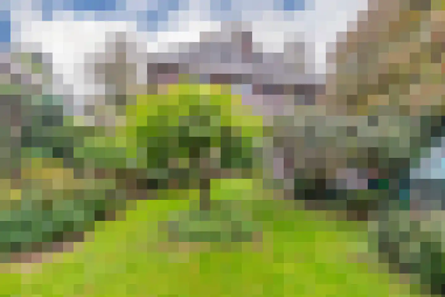 Graaf van Rechterenweg 39 Oosterbeek thumbnail 5