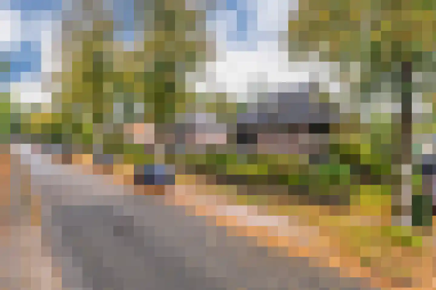 Graaf van Rechterenweg 39 Oosterbeek thumbnail 6