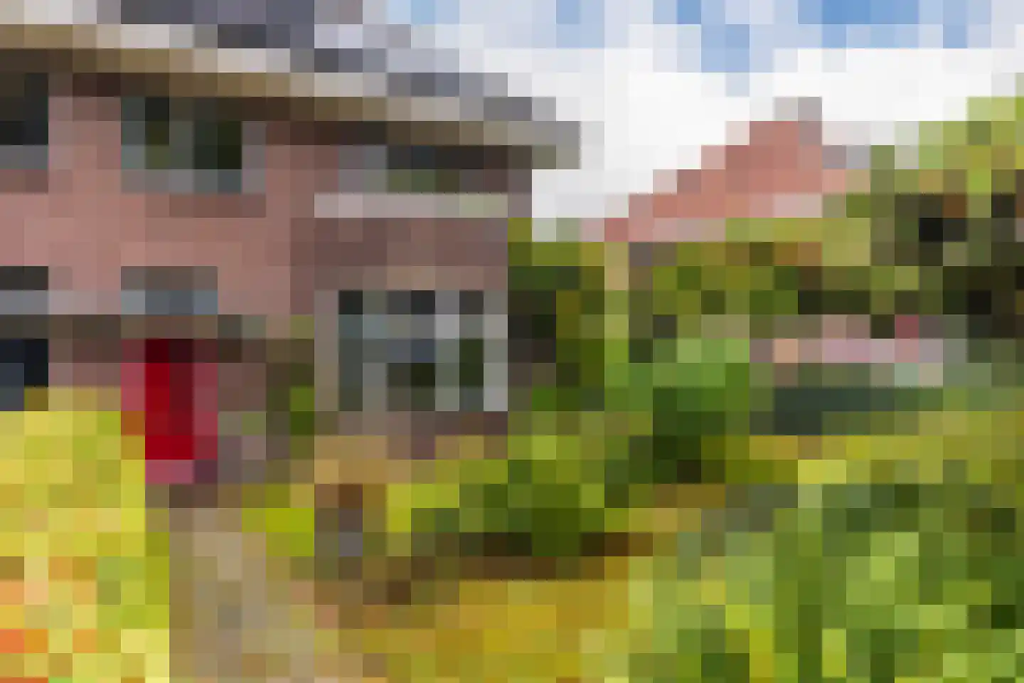 Graaf van Rechterenweg 39 Oosterbeek thumbnail 7