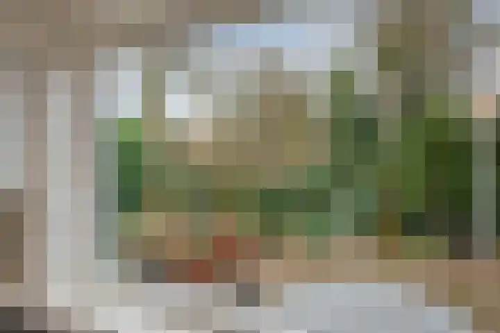 Graaf van Rechterenweg 47 Oosterbeek thumbnail 23