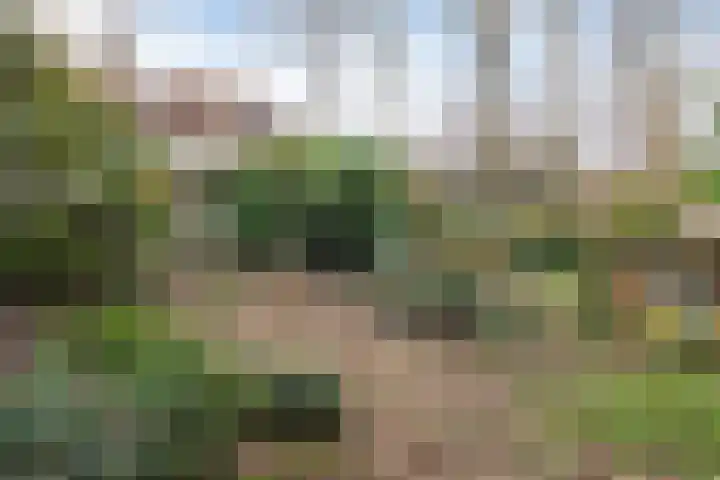 Graaf van Rechterenweg 47 Oosterbeek thumbnail 60