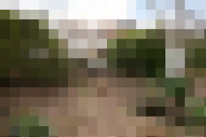 Graaf van Rechterenweg 47 Oosterbeek thumbnail 61