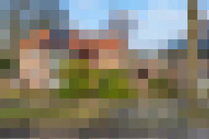 Graaf van Rechterenweg 47 Oosterbeek thumbnail 65