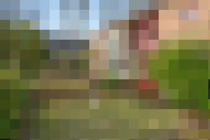 Graaf van Rechterenweg 47 Oosterbeek thumbnail 66