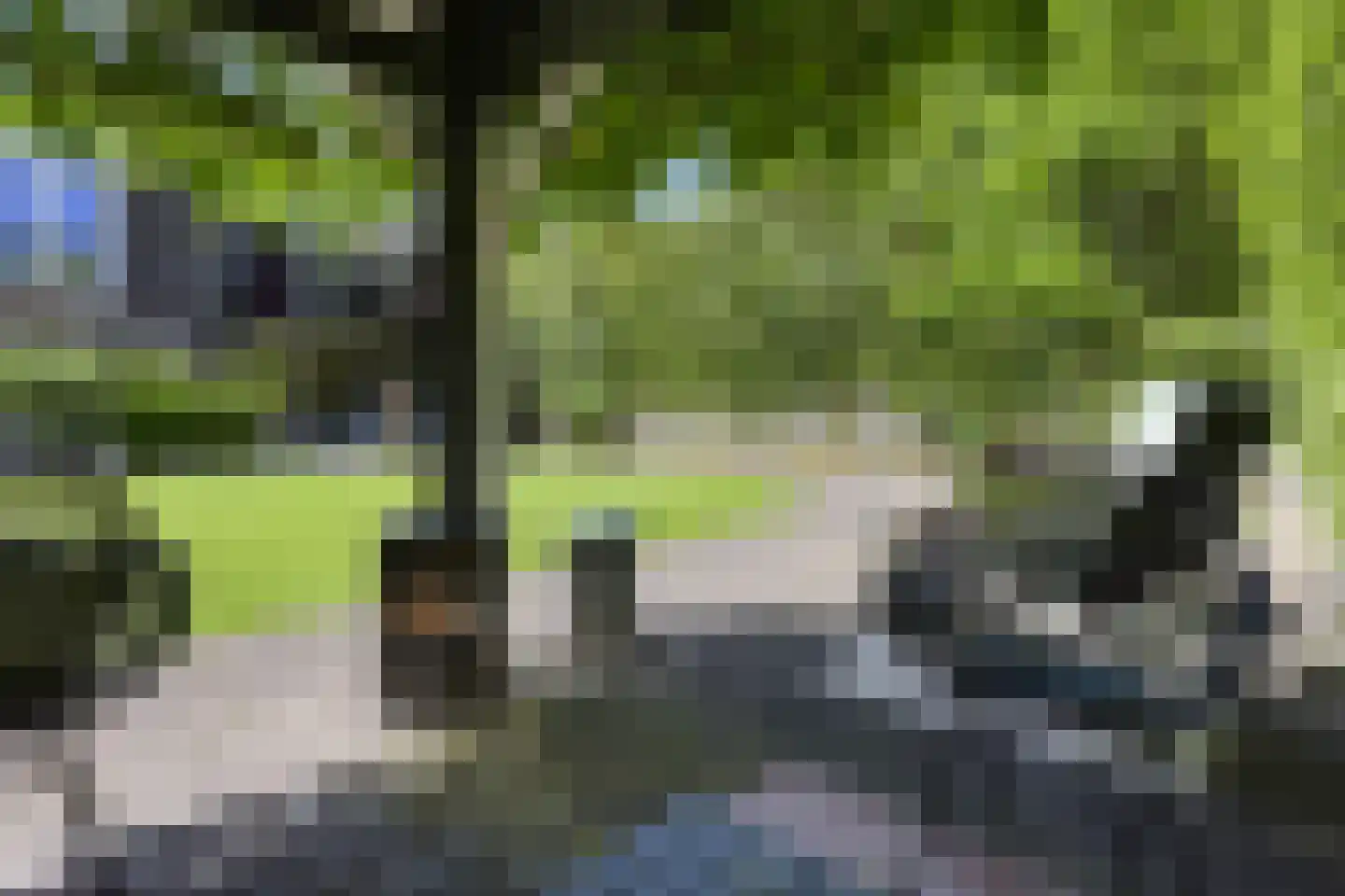 Graaf van Rechterenweg 51 C Oosterbeek thumbnail 36
