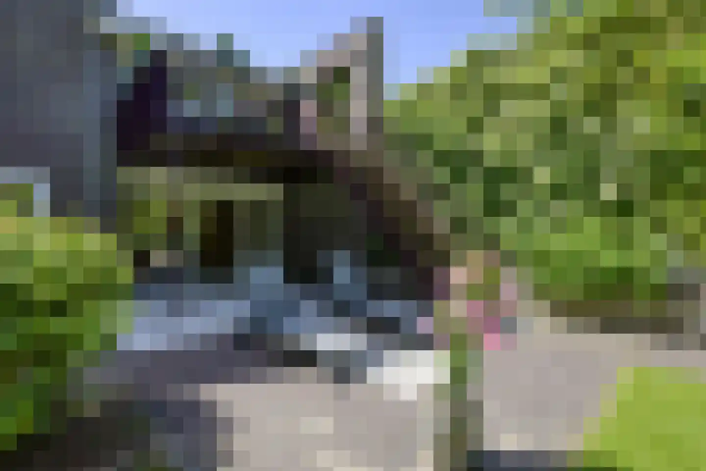 Graaf van Rechterenweg 51 C Oosterbeek thumbnail 37