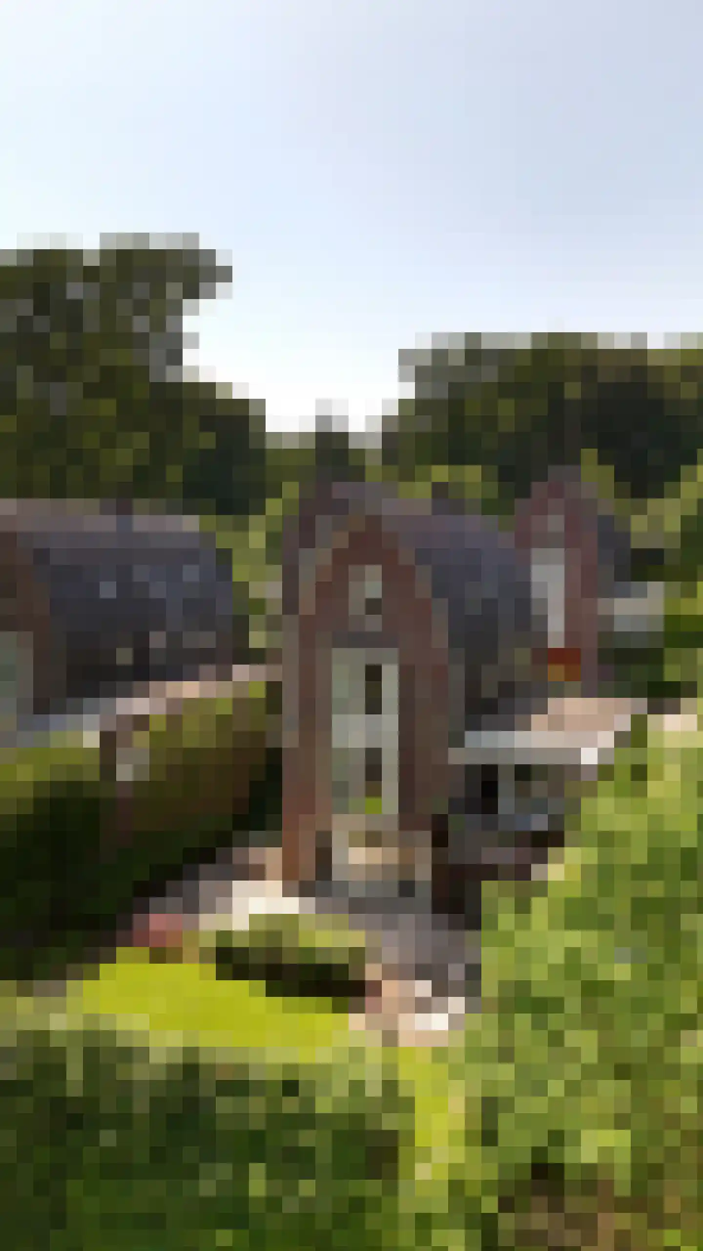 Graaf van Rechterenweg 51 C Oosterbeek thumbnail 39