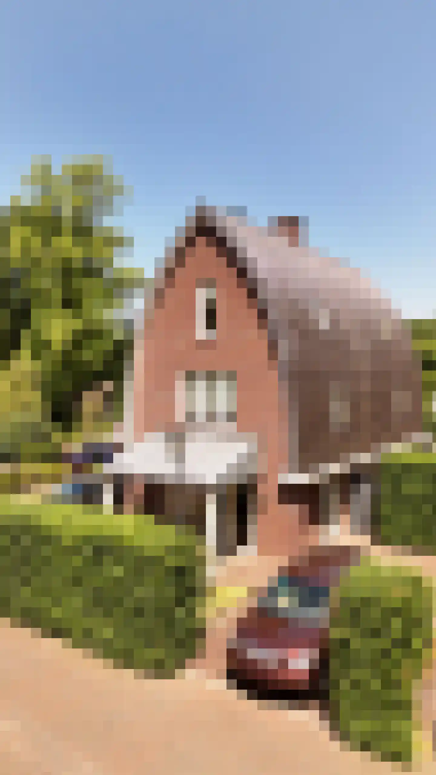 Graaf van Rechterenweg 51 C Oosterbeek thumbnail 43
