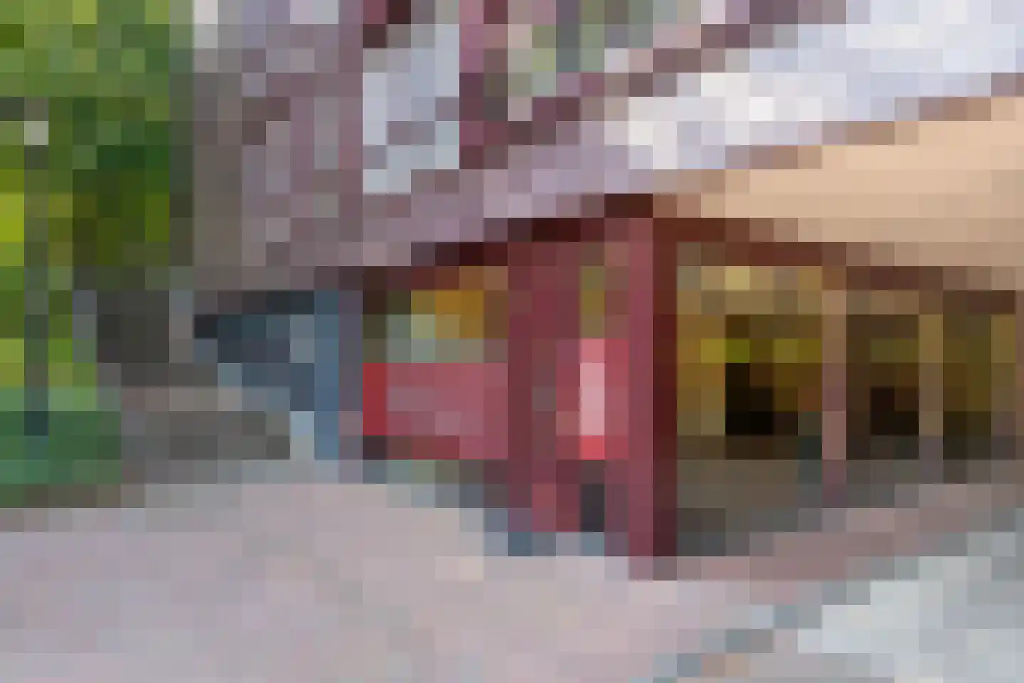 Graaf van Rechterenweg 53 21 Oosterbeek thumbnail 11