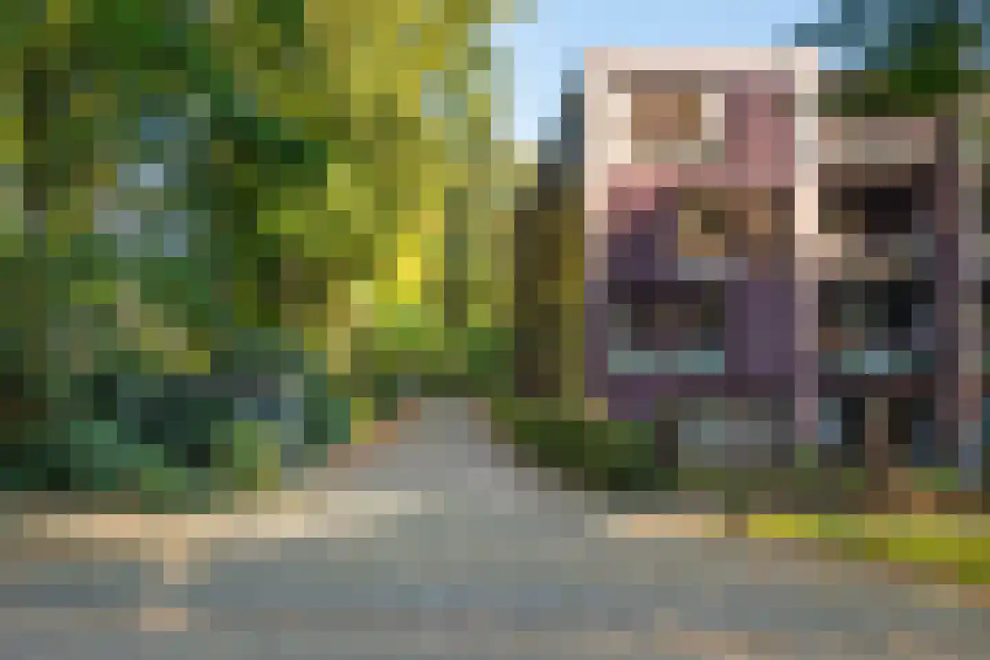Graaf van Rechterenweg 53 21 Oosterbeek thumbnail 41