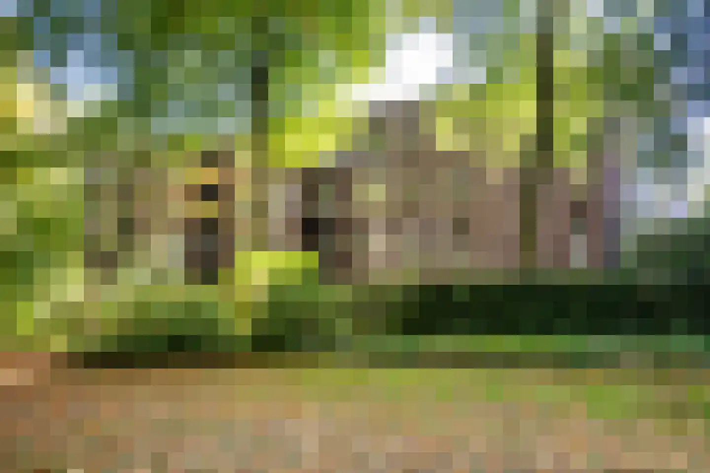 Graaf van Rechterenweg 53 21 Oosterbeek thumbnail 42