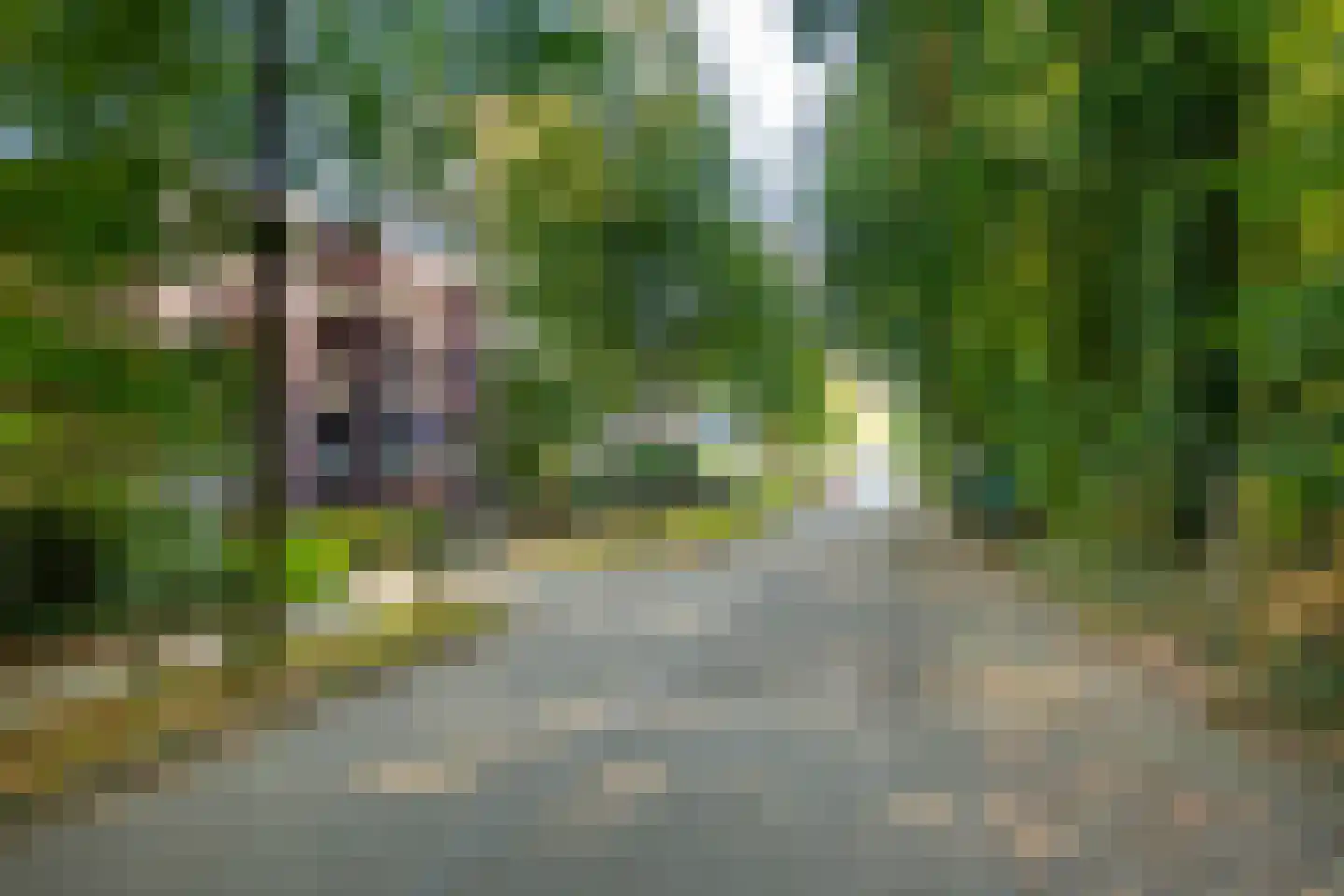 Graaf van Rechterenweg 53 21 Oosterbeek thumbnail 8