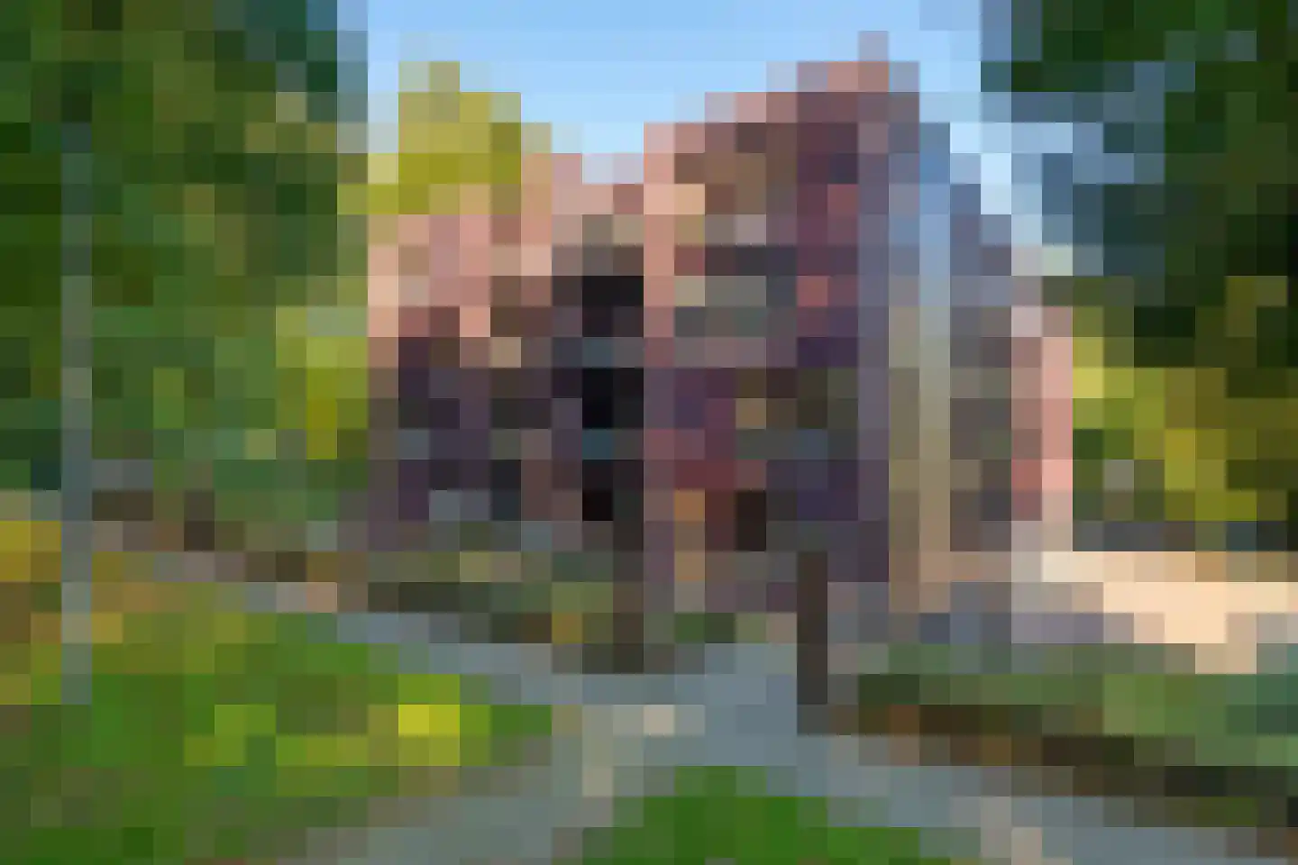 Graaf van Rechterenweg 53 21 Oosterbeek thumbnail 9